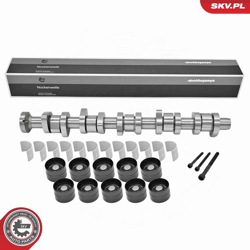 ESEN SKV 80SKV304 Camshaft Kit