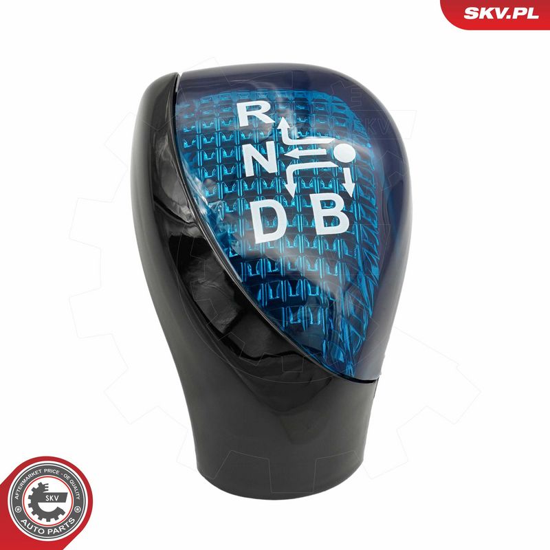 Käigukanginupp, ESEN SKV...