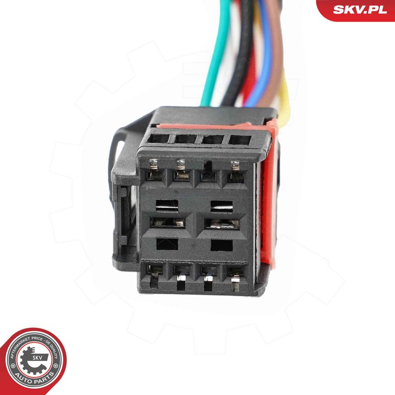 ESEN SKV 52SKV282 Electric Motor, tailgate