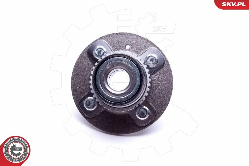 ESEN SKV 29SKV478 Wheel Bearing Kit