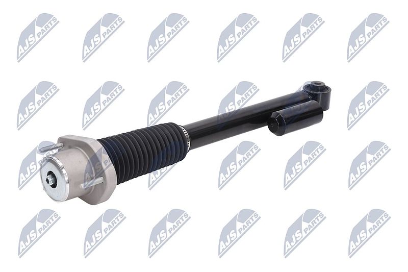 Amort, NTY A-LR-020