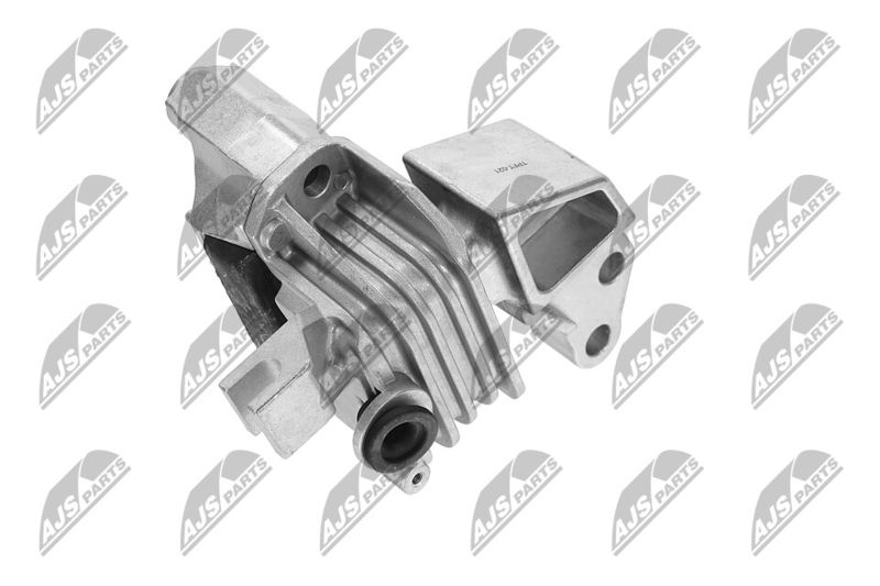 Paigutus, Mootor, NTY ZPS-FT-021