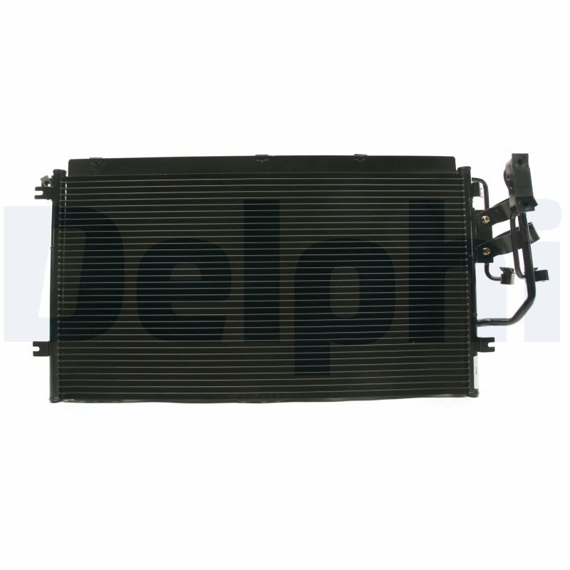 CF20034.JPG