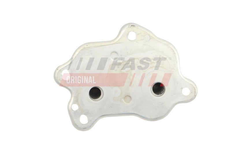 FAST FT01026 Variklio alyvos aušintuvas