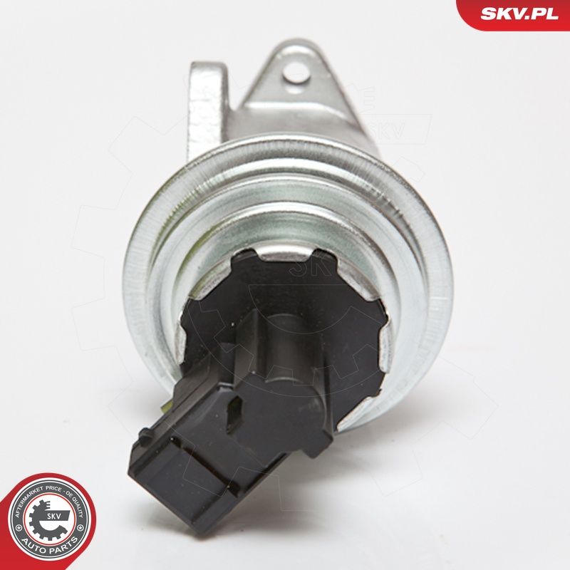 EGR-klapp, ESEN SKV 14SKV050