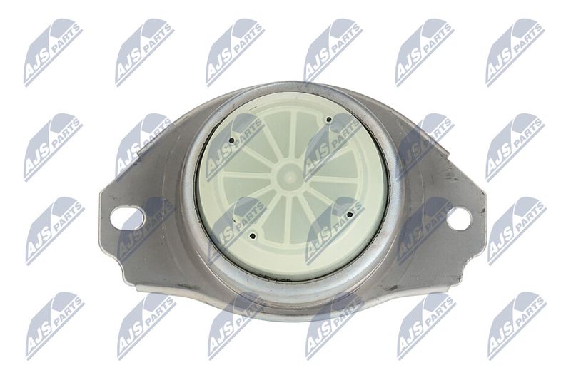 Paigutus, Mootor, NTY ZPS-LR-020