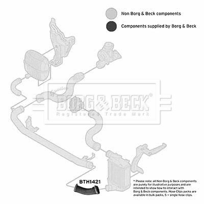 Шланг подачі наддувального повітря, Borg & Beck BTH1421