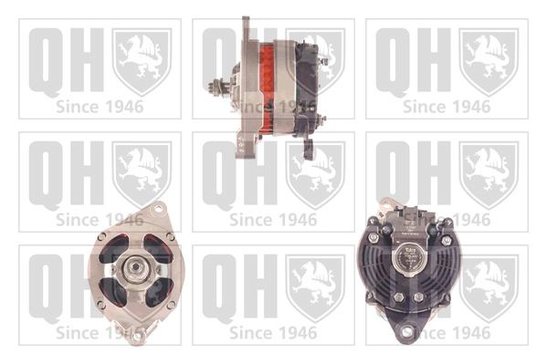 QH_QRA2037_GRUPPE.JPG
