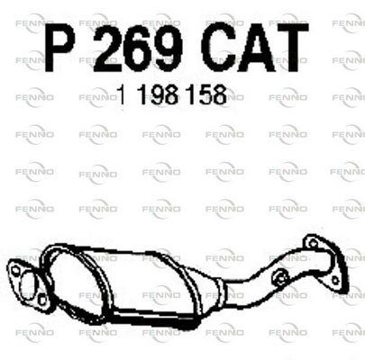 P269CAT.JPG