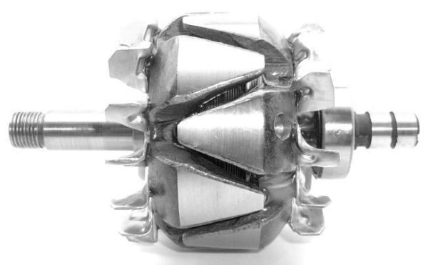 A-736.JPG