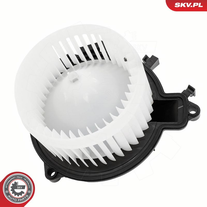 Salongipuhur, ESEN SKV...