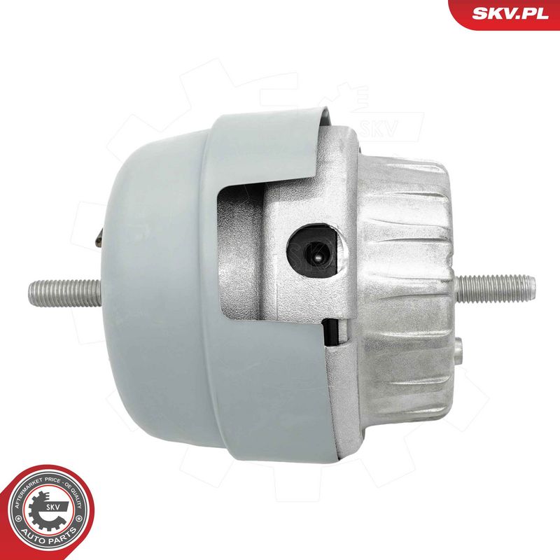 Paigutus, Mootor, ESEN SKV 75SKV295