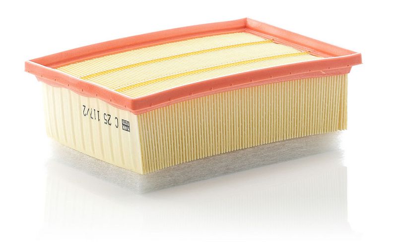 Filtru aer C 25 117/2 MANN-FILTER
