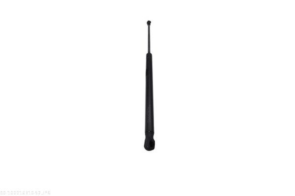 AUTOMEGA 100016310 Gas Spring, bonnet