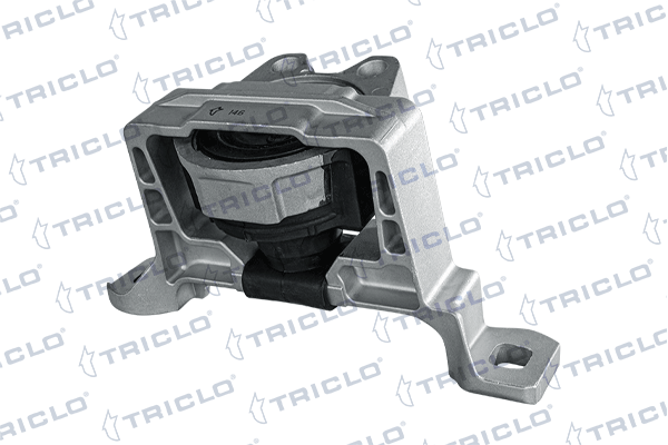 окачване, двигател TRICLO