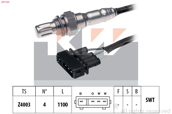 497 035-KW.JPG