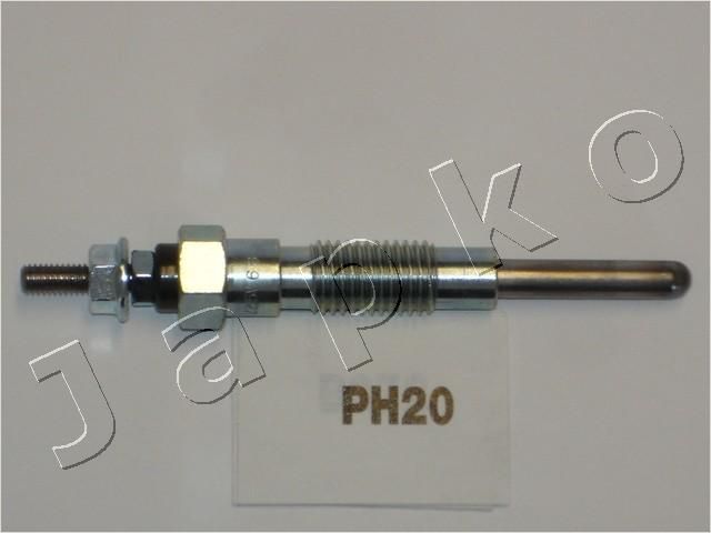 PH20_1.JPG