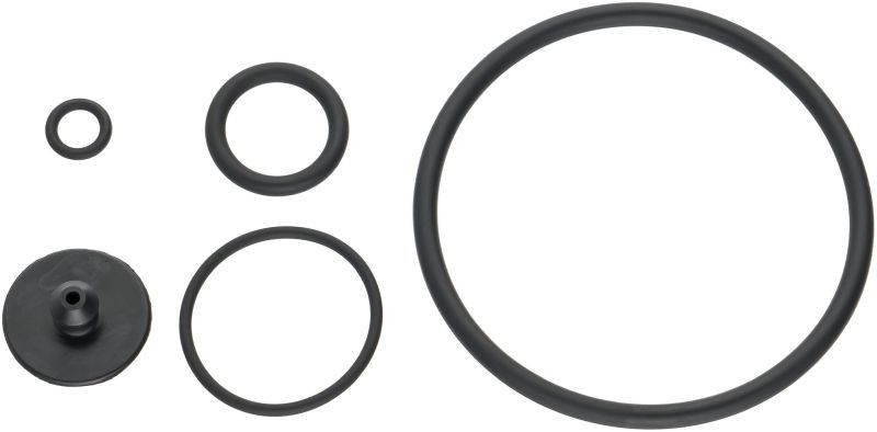480803603.JPG
