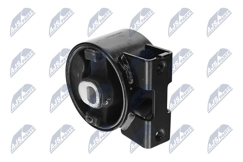 Paigutus, Mootor, NTY ZPS-CH-047