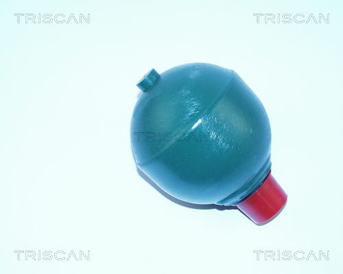 TRISCAN nyomástároló, rugózás/csillapítás 8760 38301