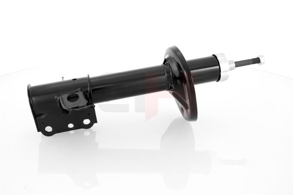 Amort, GH GH-323281H