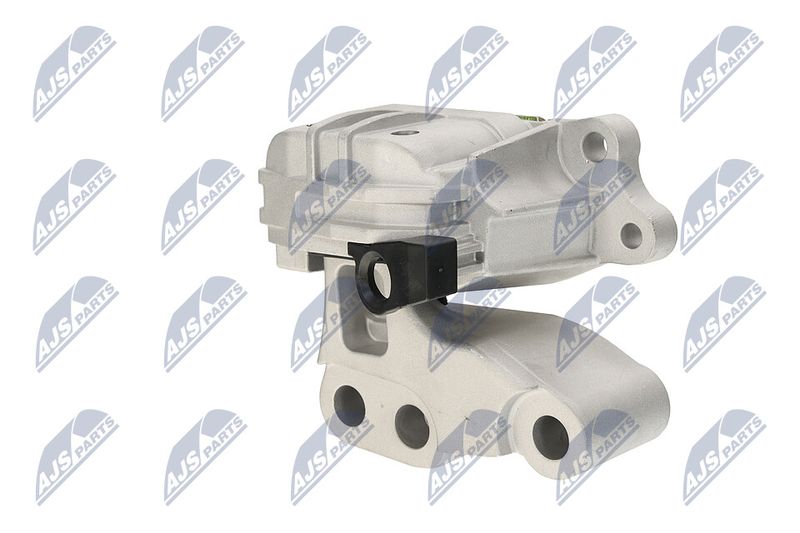 Paigutus, Mootor, NTY ZPS-CH-131