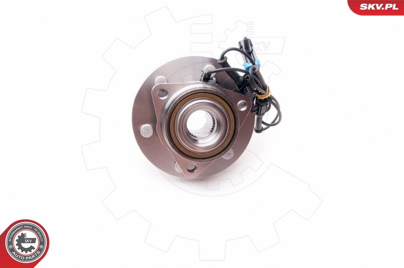 ESEN SKV 29SKV163 Wheel Bearing Kit