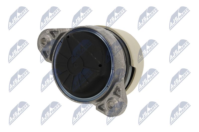 Paigutus, Mootor, NTY ZPS-ME-011