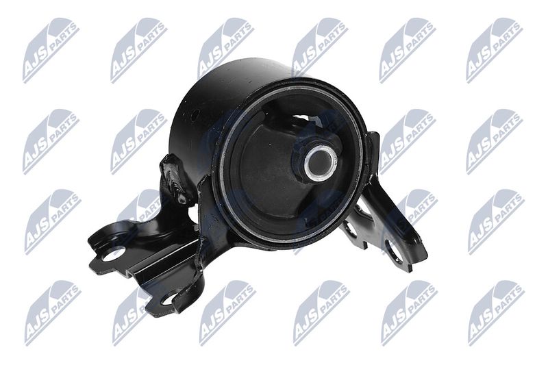 Paigutus, Mootor, NTY ZPS-CH-179