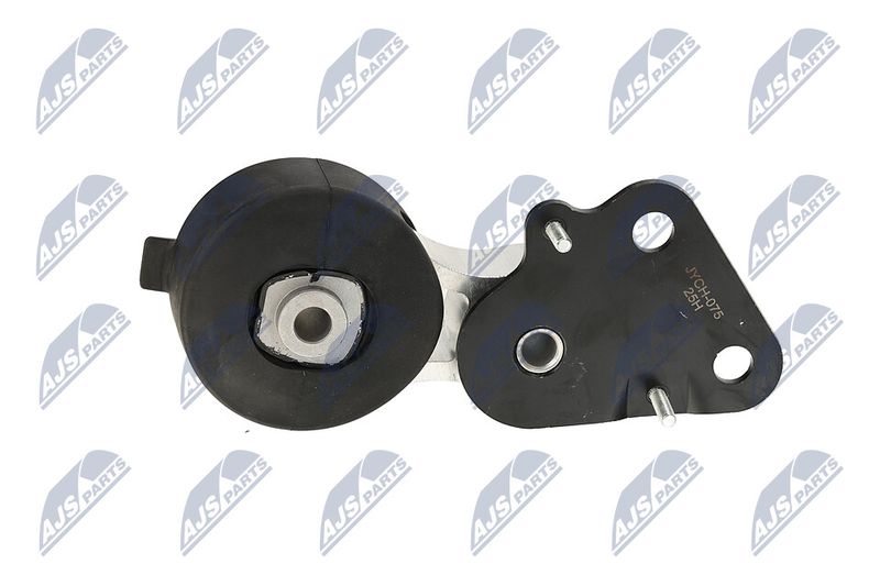 Paigutus, Mootor, NTY ZPS-CH-075