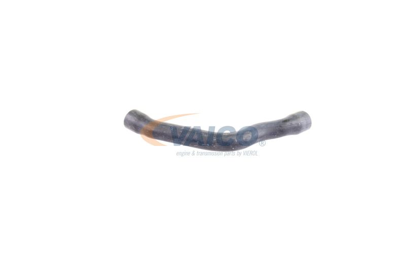 VAICO V30-2099 Radiator Hose