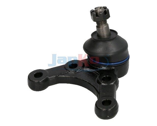 Kande-, juhtliigend, JAPKO...