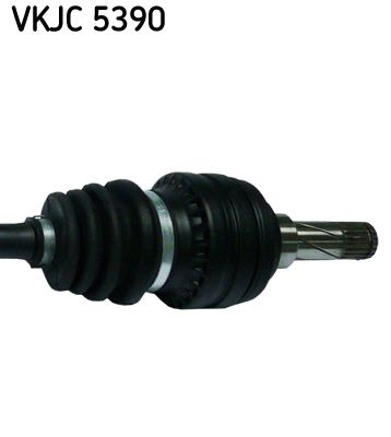 VKJC 5390_3.JPG