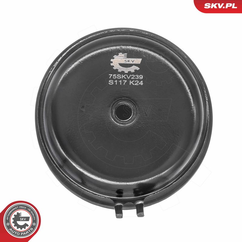 Paigutus, Mootor, ESEN SKV...