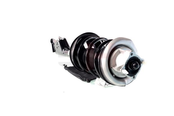 Vedruamort, GH GH-353364C01