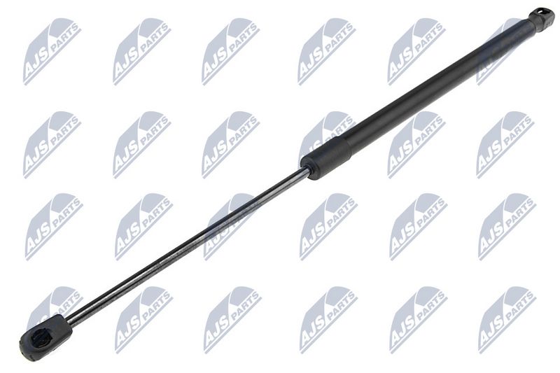 Amortizor capota NTY AE-WW-078