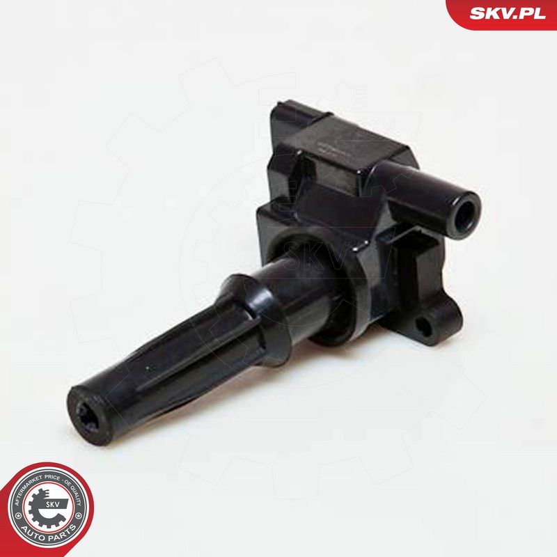 ESEN SKV 03SKV072 Ignition Coil
