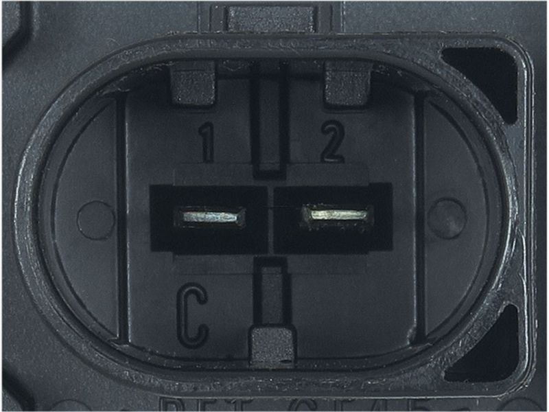 416686.JPG