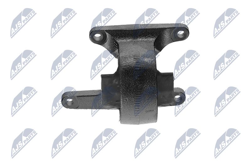 Paigutus, Mootor, NTY ZPS-CH-008