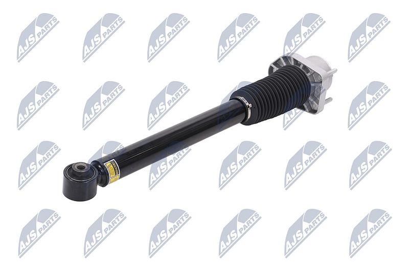 Amort, NTY A-LR-015