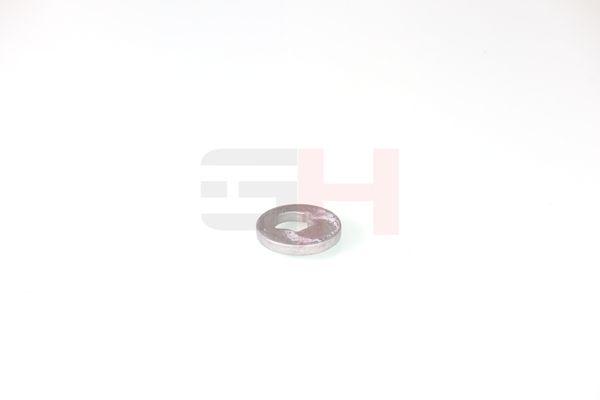 caster shim, sillatala, GH GH-391582