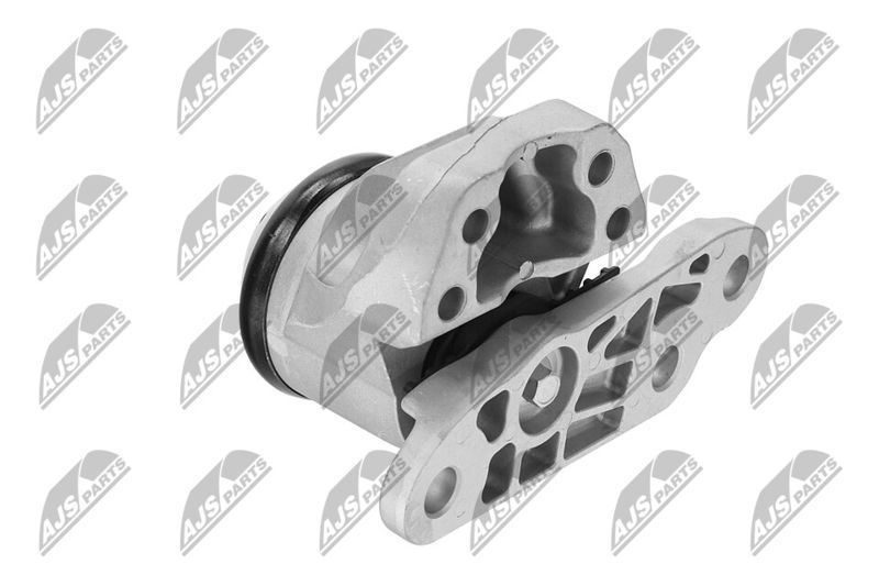 Paigutus, Mootor, NTY ZPS-FR-053