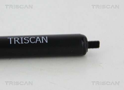TRIS8710615201150_2.JPG