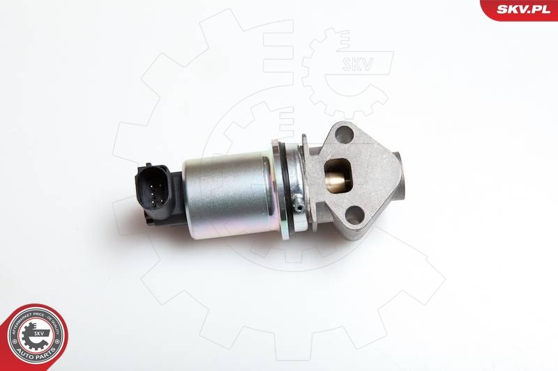 ESEN SKV 14SKV043 EGR Valve