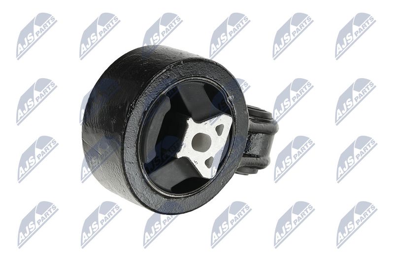 Paigutus, Mootor, NTY ZPS-CH-137