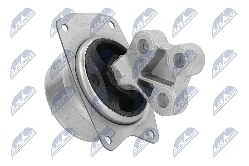 Paigutus, Mootor, NTY ZPS-PL-025