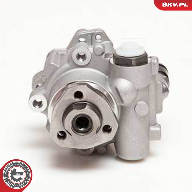 Hüdraulikapump, roolimine, ESEN SKV 10SKV110