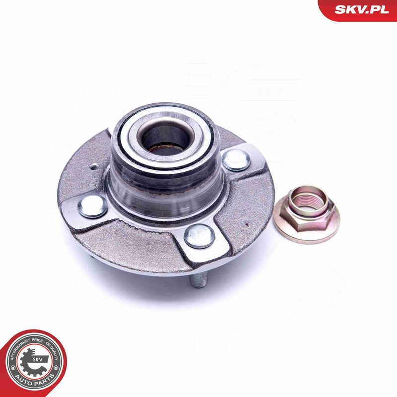 ESEN SKV 29SKV204 Wheel Bearing Kit