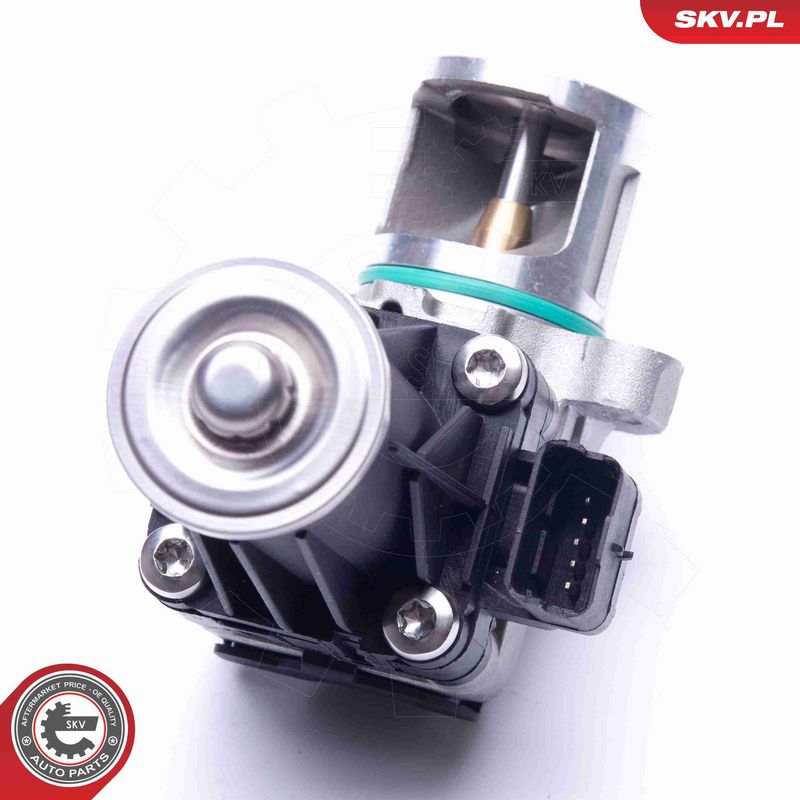 ESEN SKV 14SKV185 EGR vožtuvas