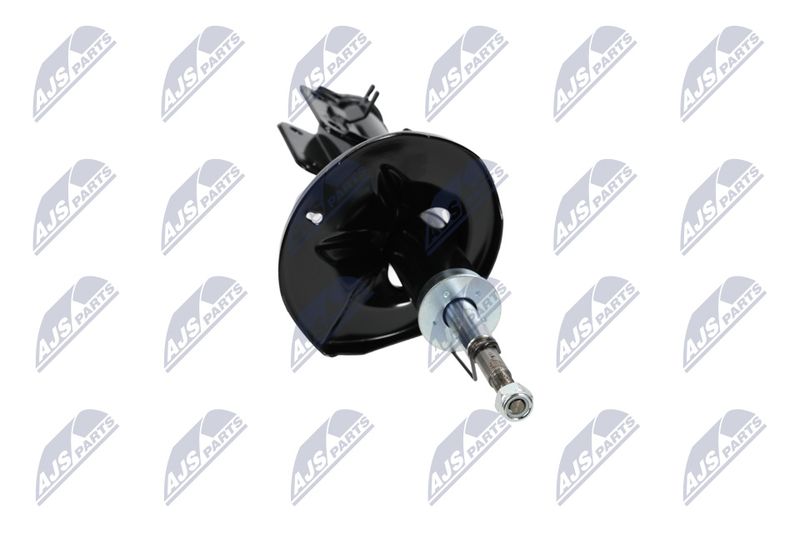 Amort, NTY A-CH-053